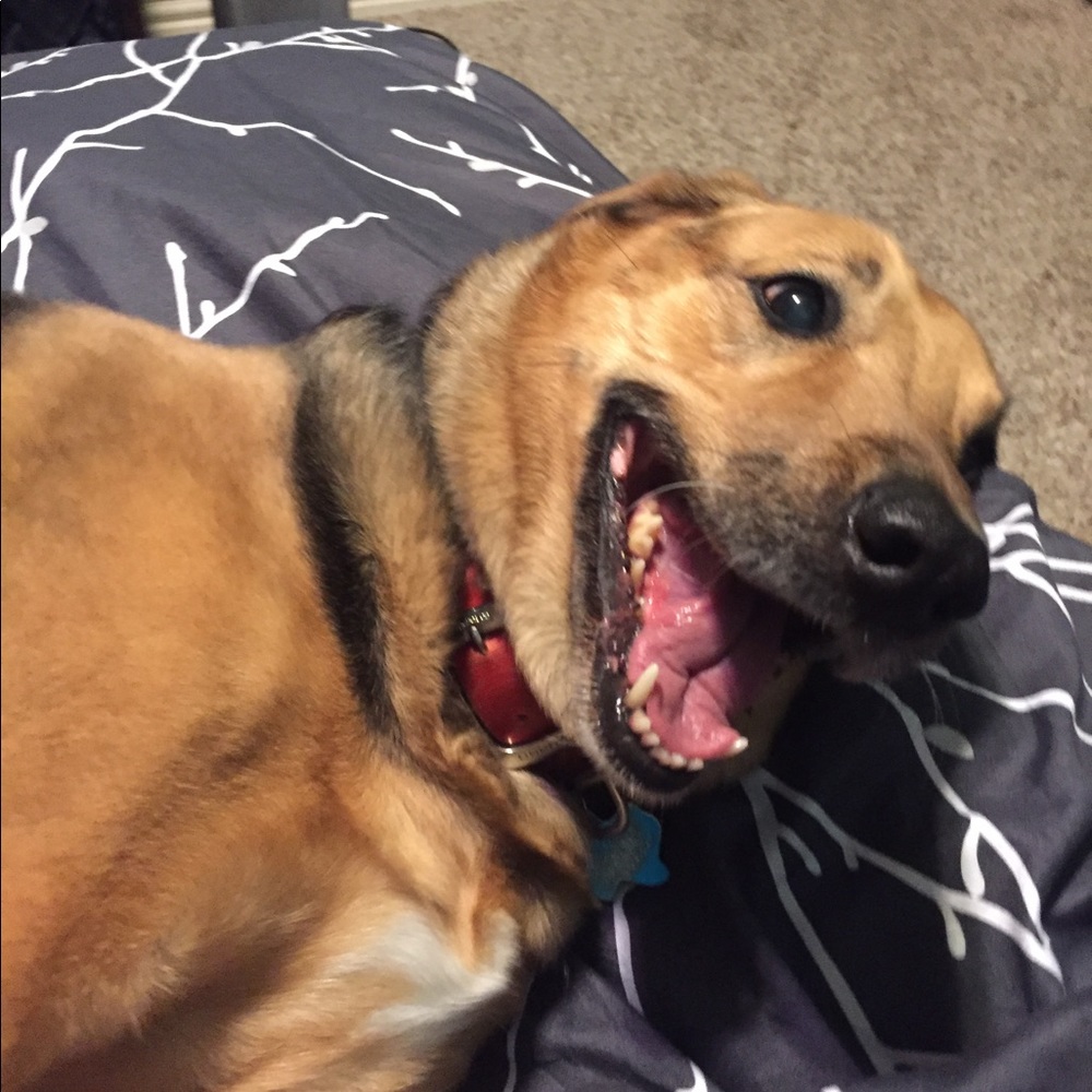 Meet your Posher, Leah